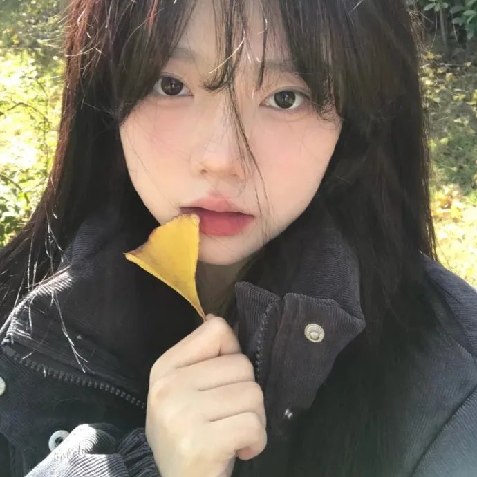姐妹双行之巴黎护照